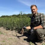 🌿 Liguster 'Liga' – Ligustrum vulgare 30-50cm