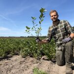 🌿 Surbær / Aronia 40-60cm