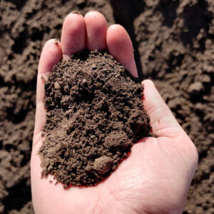 Topdressing / plænemuld 0-8 mm – uden gødning – 1.000 kg bigbag