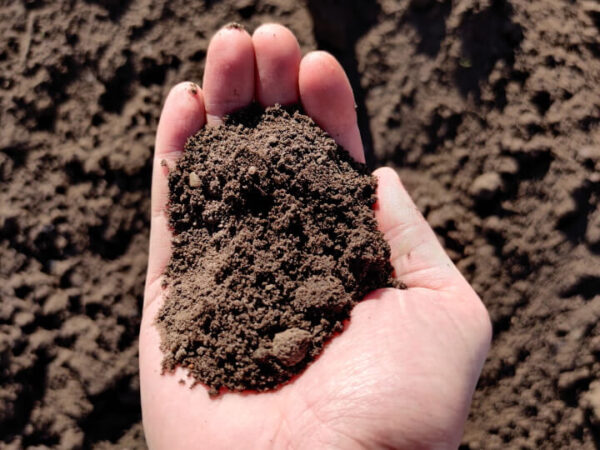 Topdressing / plænemuld 0-8 mm – uden gødning – 1.000 kg bigbag